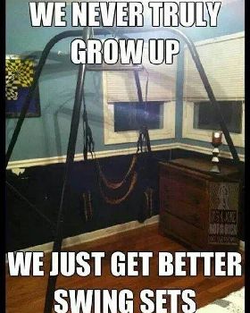 funny-sex-swing