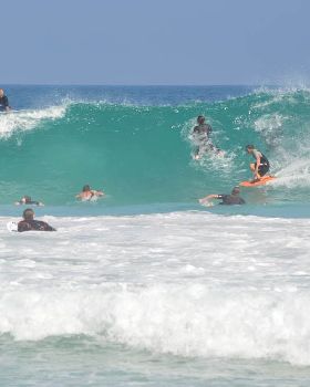 Surfing