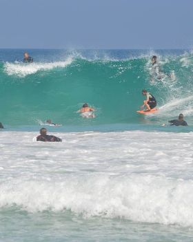 Surfing