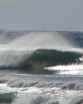 Surfing