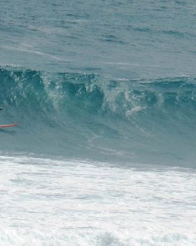 Surfing