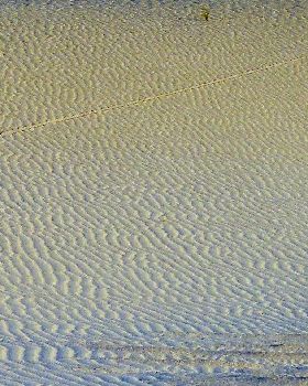 P4110112 (2)
