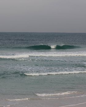 Surfing