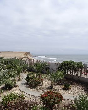 DSC08397