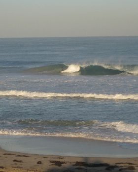 Surfing