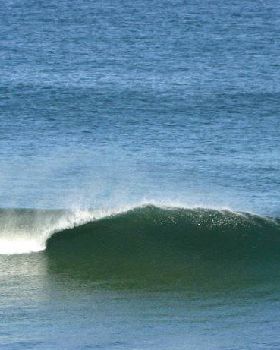 Surfing
