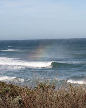 Surfing