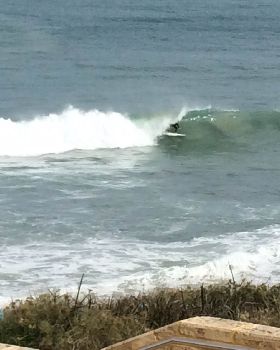 Surfing