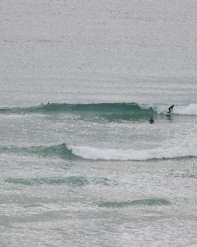 Surfing