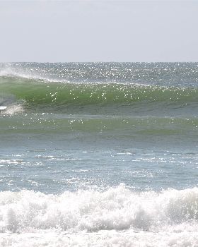 Surfing