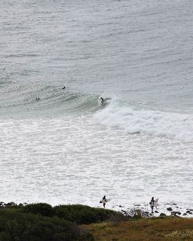 Surfing