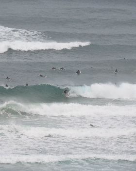Surfing