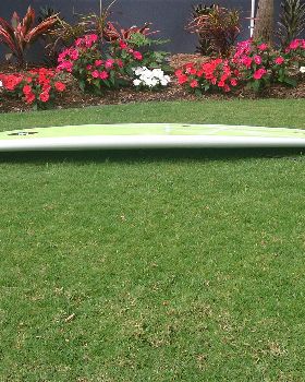Surfing