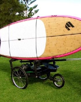 Surfing