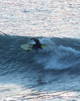 kneeboarder