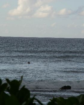 Surfing