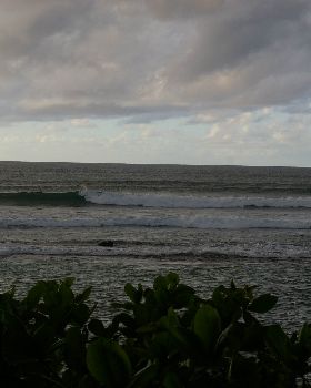 Surfing