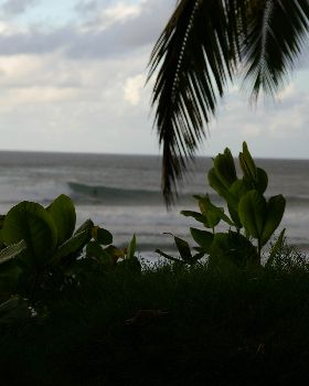 Surfing