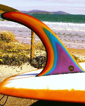 Surfing