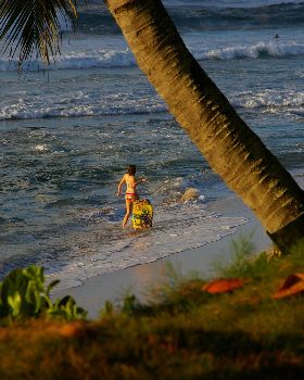 Surfing