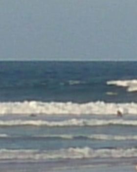 Surfing