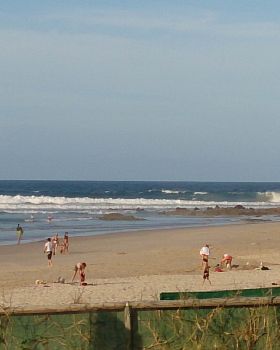 Surfing