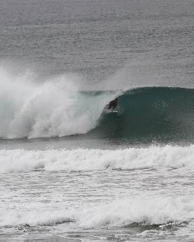 Surfing