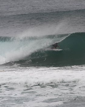 Surfing