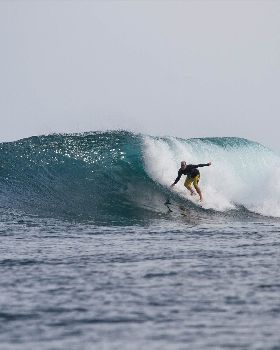 Surfing
