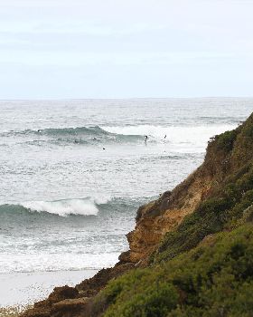 Surfing
