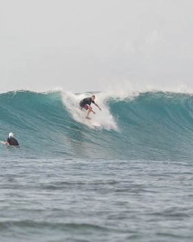 just some piccies