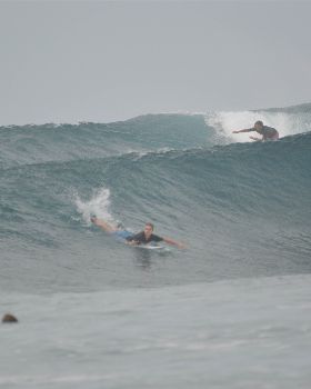 just some piccies