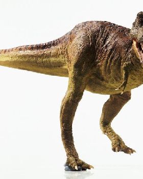 Model-of-a-Tyrannosaurus--004[1]
