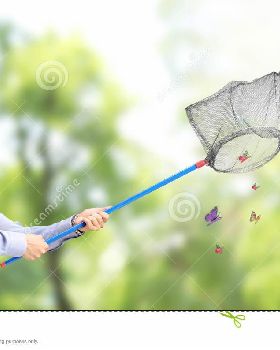 male-catching-butterflies-net-park-young-32564513
