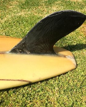 Surfing