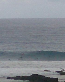Surfing