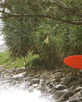 Surfing