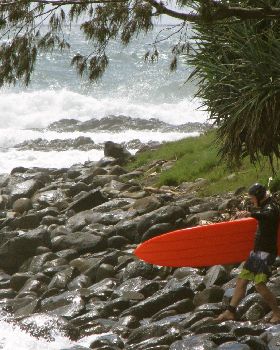Surfing