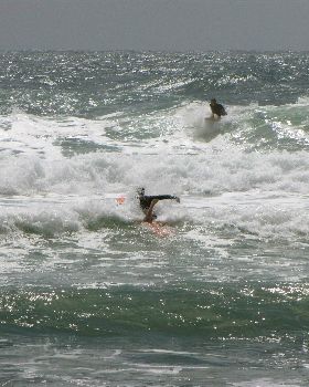Surfing