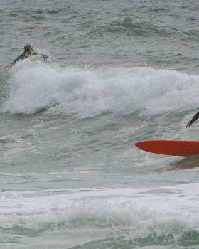 Surfing