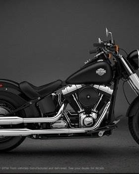 harley-davidson-soft-43 600x0w