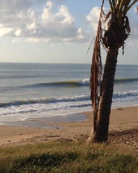 Surfing