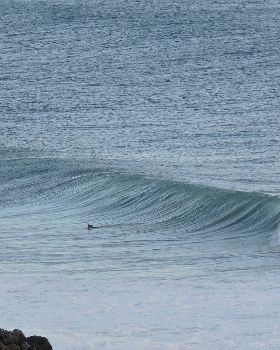 Surfing