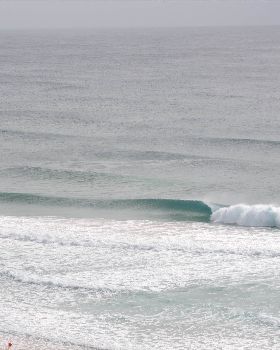 Surfing