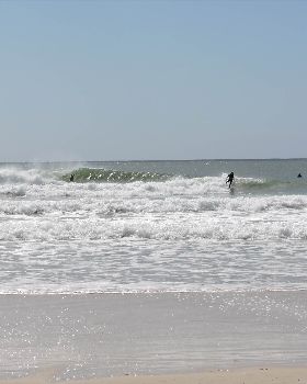 Surfing