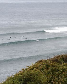Surfing