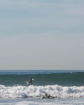 as surf kassia malibu 2048