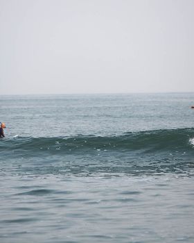as surf mignot nose 2048