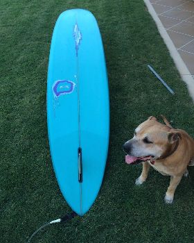 Surfing