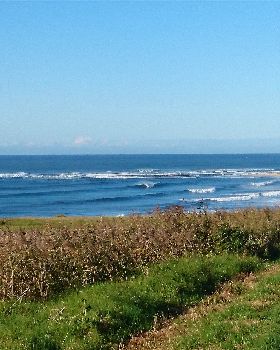 Surfing